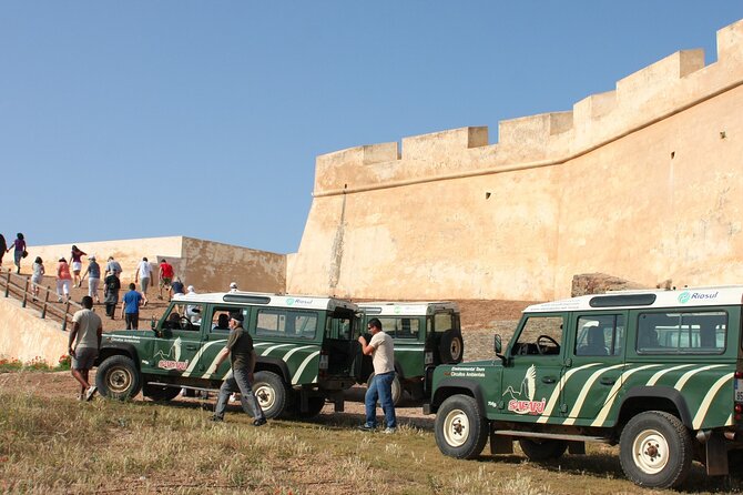 Full Day Moorish Trail Tour - Who this tour suits best (and who should rethink)