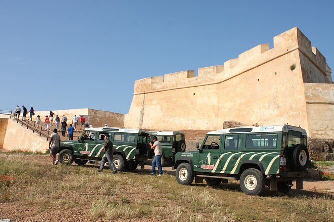 Half-Day Nature Safari in the Algarve - Meeting point and timing: set yourself up for a smooth start