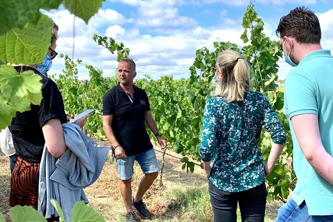 Half Day Safari Tour with Wine Tasting - Conqueiros Cork Stop: What You Learn and Why It Matters