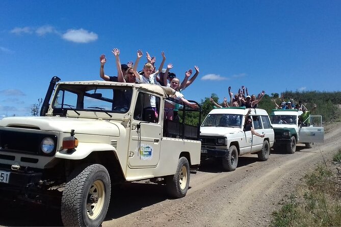 Half Day Safari Tour with Wine Tasting - Pace, Group Size, and How the Guides Shape the Day