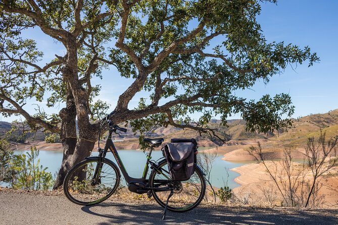 Half-Day Small-Group E-Bike Tour of Rural Algarve with Lunch - Key highlights you should actually care about