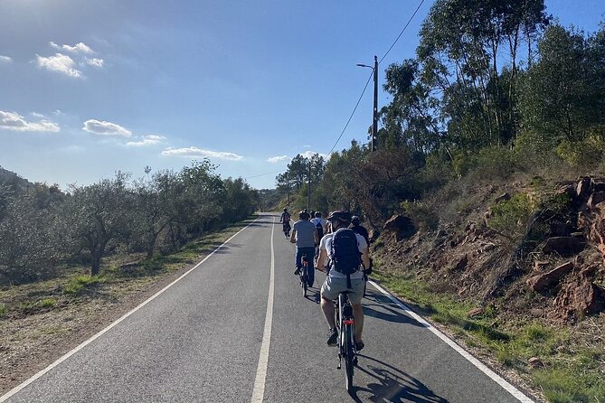 Half-Day Small-Group E-Bike Tour of Rural Algarve with Lunch - The guide experience: easygoing hosting makes the day feel local