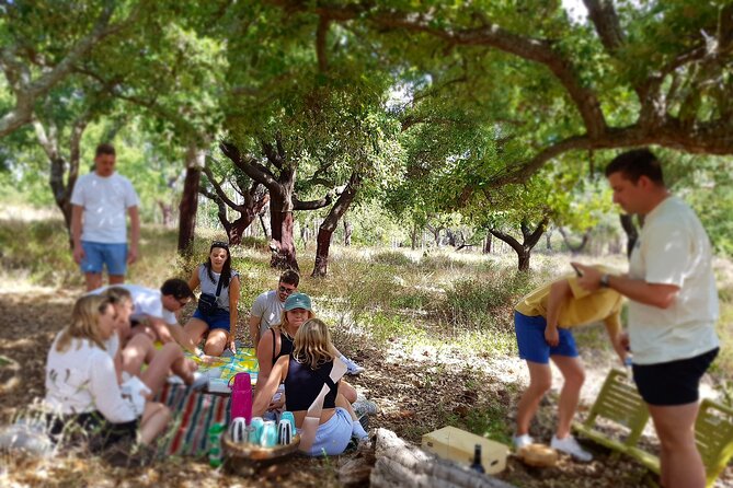Half-Day Small-Group E-Bike Tour of Rural Algarve with Lunch - Canhestros secret garden breakfast: fields, flowers, and handmade flavors
