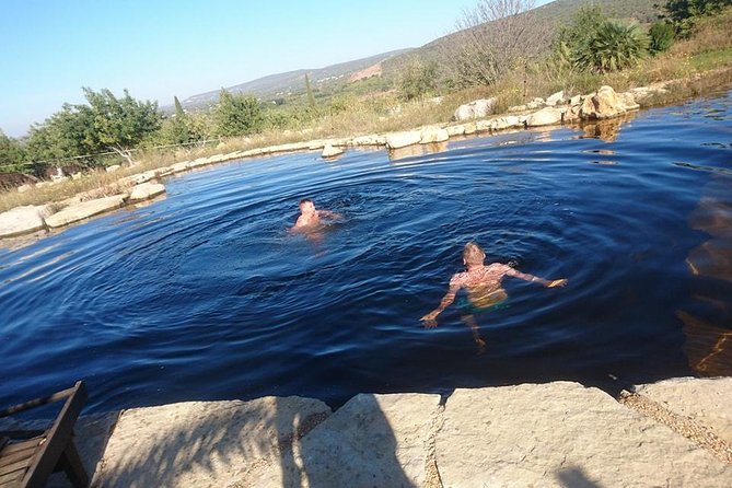 Jeep Safari Tour - Full Day - Honey Tasting and Algarvian Firewater: A Local Flavor Lesson
