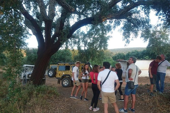 Jeep Safari Tour - Full Day - Pickup Timing, Waiting Rules, and How to Dress for Comfort