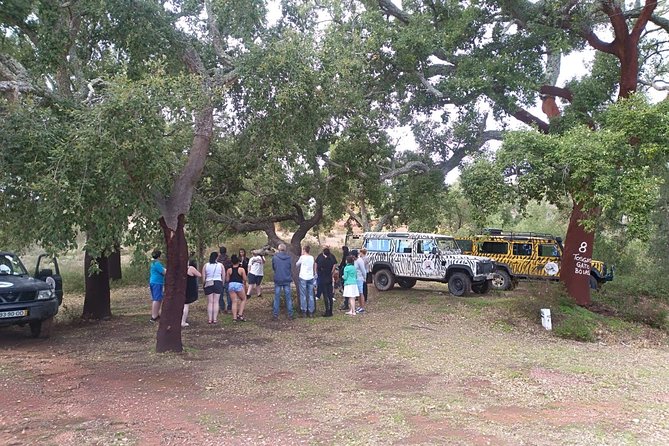 Jeep Safari Tour - Half Day - Sarnadas and the Picota Windmill View: Quick High-Peak Air