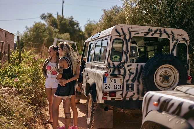 Jeep Safari Tour - Half Day - Getting There Smoothly: Pickup Areas and Real Ride Time