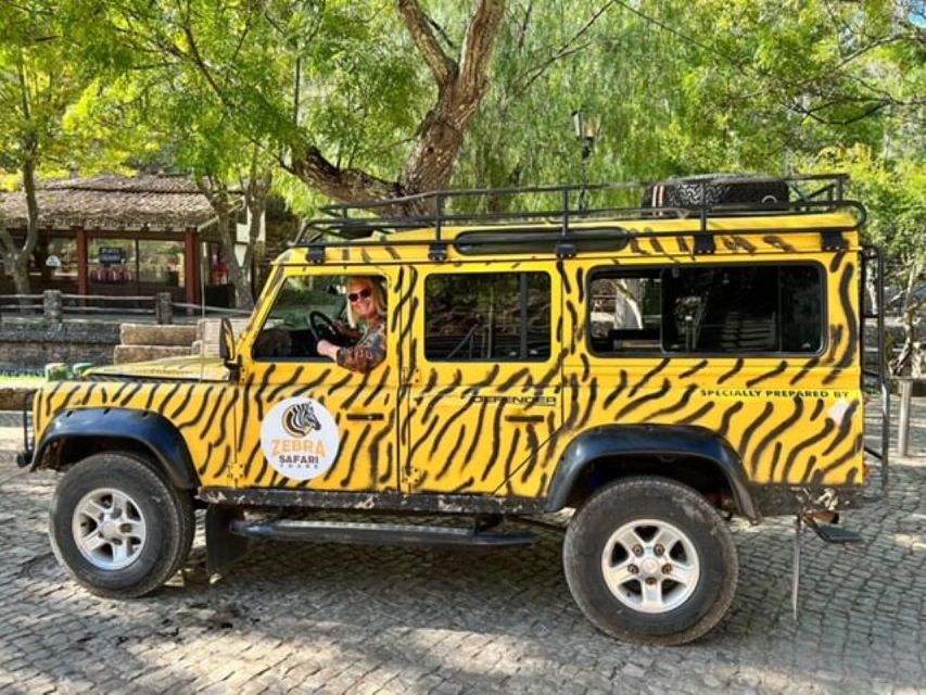 Jeep Safari Tours- Half Day - Paderne: the castle, the church, and the “why it matters” factor