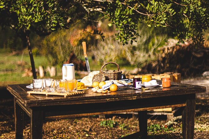 Organic Orange Picking & Jam Making with Farm-to-Table Lunch - Value: why this feels worth your half-day