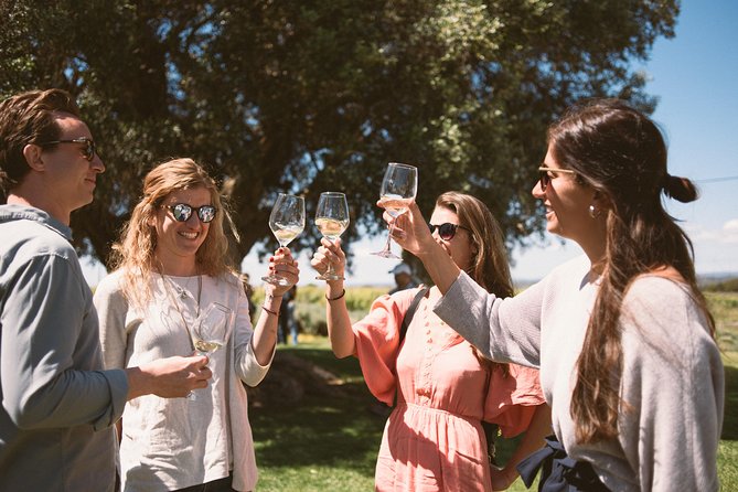 Premium Vineyard Tour & Tasting - Key highlights you should care about
