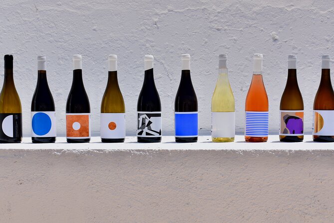 Premium Vineyard Tour & Tasting - Inside the guided vine visit: what you’re really paying for