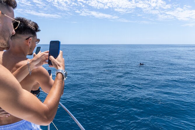 Private Coastline and Dolphins Yacht Cruise from Albufeira - Alfanzina Lighthouse and the Fishermen’s Chapel: Algarve Landmarks From the Sea