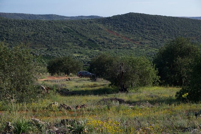 Private escape in the backcountry - Who should book this private escape in Albufeira?