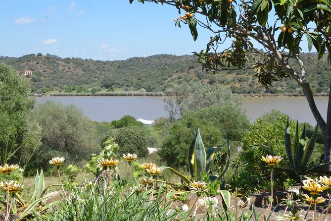 Rio Guadiana River Cruise - Lunch at the Heart of the Value: What You’re Really Paying For
