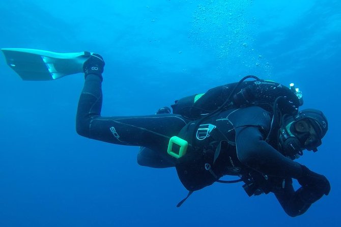 Scuba Diving Albufeira-Double Dive Trip - Where You Start in Albufeira (and why the 8:30 am start helps)