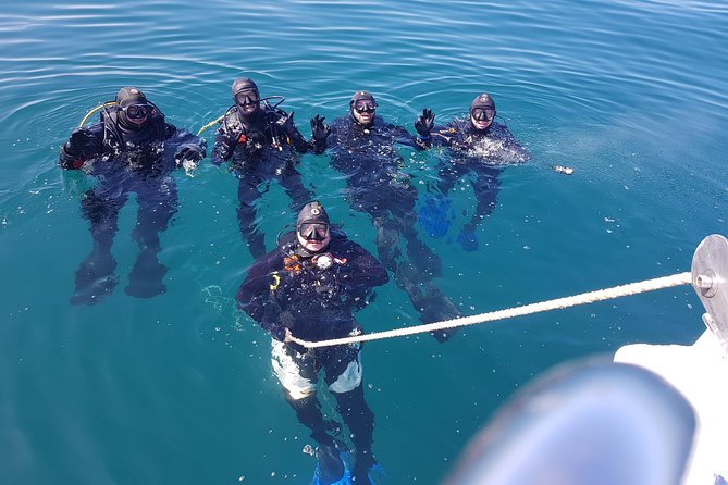 Scuba Diving Albufeira-Double Dive Trip - Certification, medical forms, and the safety checklist you should expect