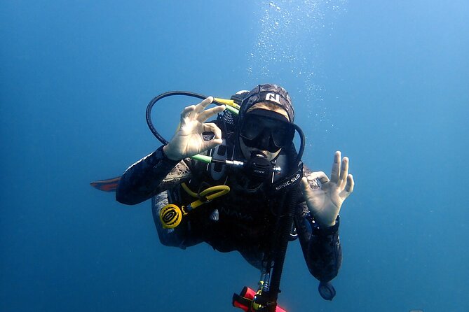 Scuba Diving Albufeira-Double Dive Trip - Should you book this Albufeira double session?
