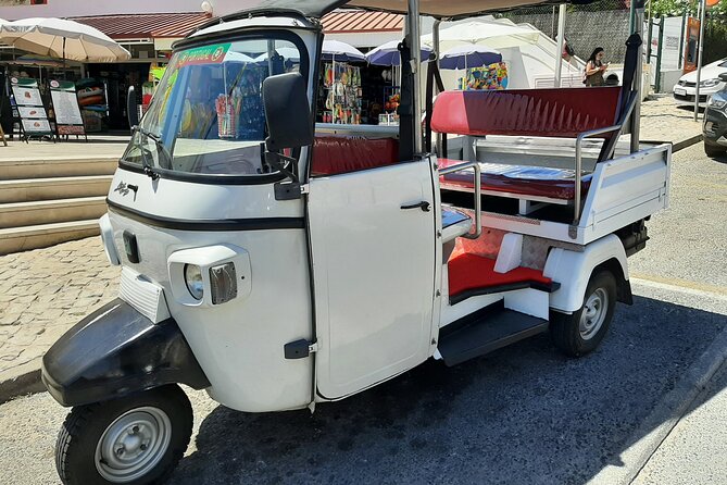Sigtseeing in a Tuk Tuk ,Unique Experience - Who This Tour Suits Best (And Who Might Want to Skip It)