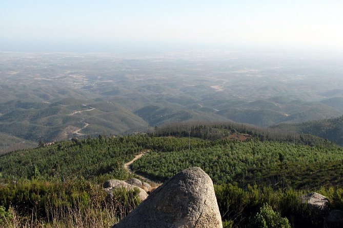 Silves and Monchique Full Day Bus Tour - Small Group Size and Comfort: The Coach Experience