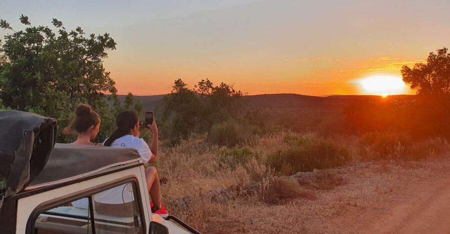 Sunset Safari in the Algarve Mountains - Key Things You Should Know Before You Go