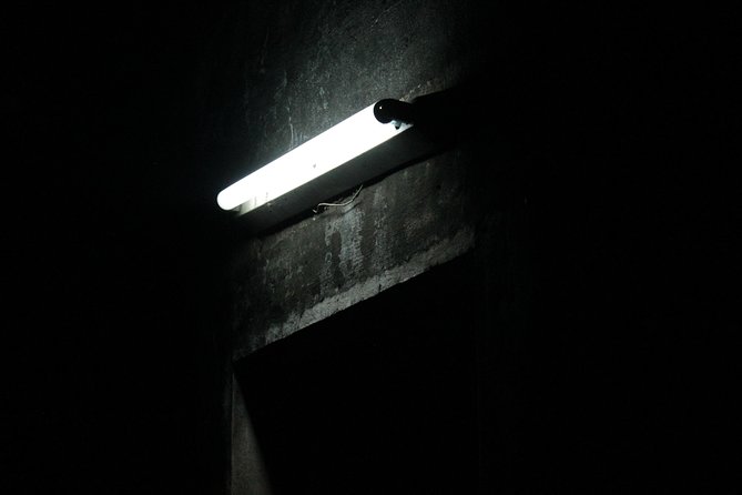 Survival Instinct Escape Game - Key highlights to know before you go