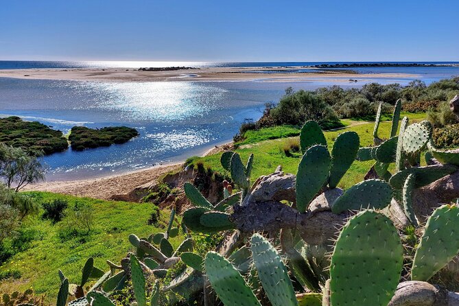 The Essential Algarve Relocation Tour! - The practical vibe: how “real” does this feel?