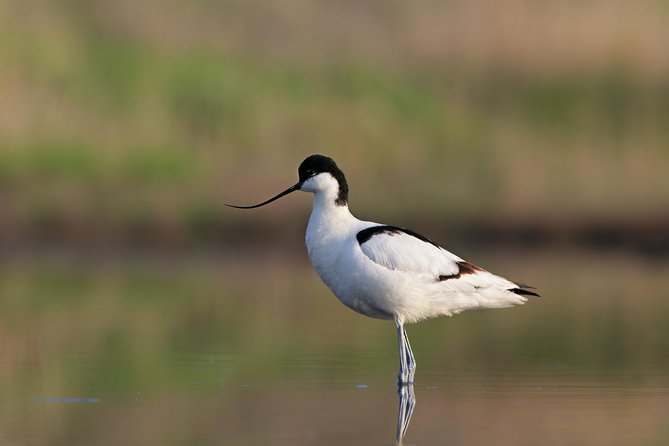 Tour in Paradise: Ria Formosa - Practical stuff that affects your comfort (more than you think)