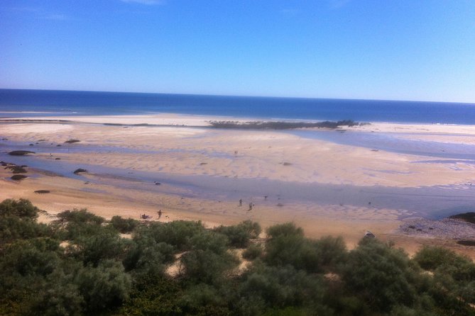 Tour in Paradise: Ria Formosa - Who should book this Ria Formosa day, and who might skip it