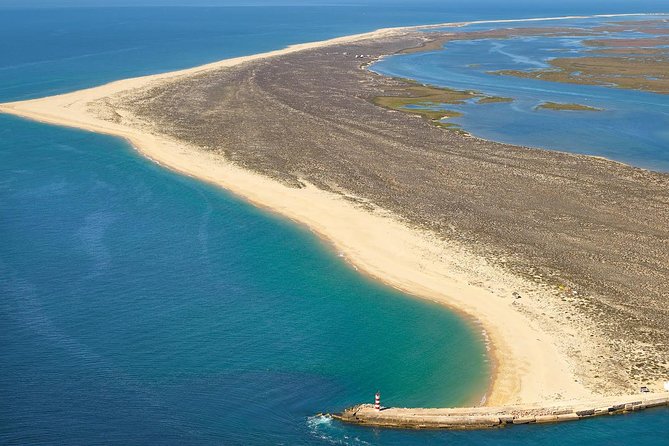 Tour in Paradise: Ria Formosa - Olhõã market stop: seafood energy and the optional sweet break