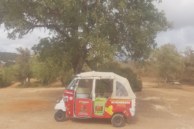 Tuk tuk tour- the best way to see coast and country side - Pickup, Meeting Point, and How Not to Waste Morning Time