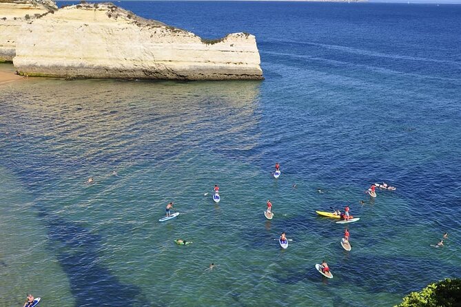 Unique Stand Up Paddle Experience! - Pricing and value: what $66.16 buys you