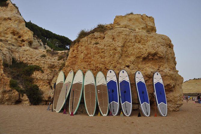 Unique Stand Up Paddle Experience! - Who this tour suits best