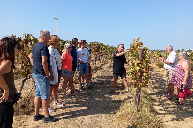 Wine Lovers: Winery Tour w/ Tasting & Tapas (Albufeira/Vilamoura) - Key highlights worth planning for