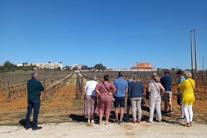 Wine Lovers: Winery Tour w/ Tasting & Tapas (Albufeira/Vilamoura) - Price and what $71.38 really buys you