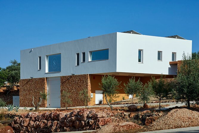 Wine Tasting Tour in Algarve Winery - The winemaker tour: production explanations you can actually use