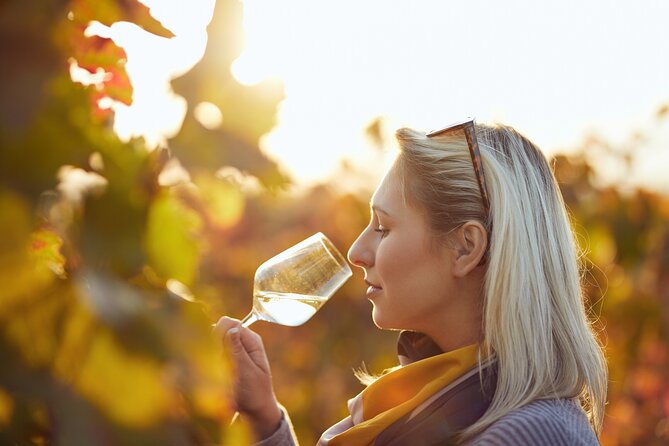 Wine Tasting Tour in Algarve Winery - Olive oil tasting with bread: the part people end up remembering