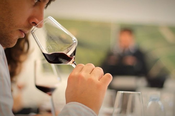 Wine Tasting Tour in Algarve Winery - Price and value: what $78.27 buys you here